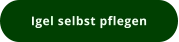 Igel selbst pflegen