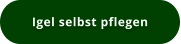 Igel selbst pflegen