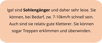 Igel sind Sohlengänger und daher sehr leise. Sie  können, bei Bedarf, zw. 7-10km/h schnell sein. Auch sind sie relativ gute Kletterer. Sie können  sogar Treppen erklimmen und überwinden.